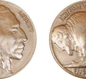 1937 US five cent coin, buffalo and indian head.